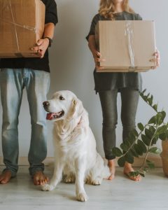 Choosing a Good Removal Firm